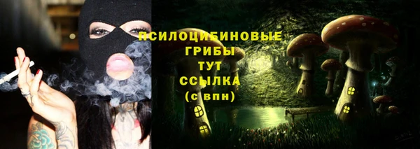 a pvp Арсеньев