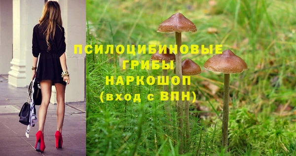a pvp Арсеньев