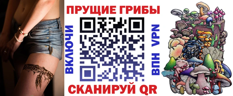 закладка сайты даркнета как зайти Галлюциногенные грибы ЛСД Коряжма